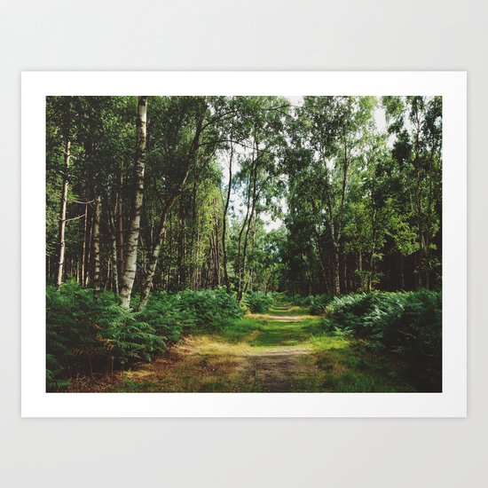 Sunlight on footpath through woodland. Norfolk, UK. Art Print