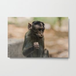 Monkeying Around Metal Print | Photo, Nature, Animal 