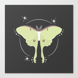 Luna Moth Magic Canvas Print