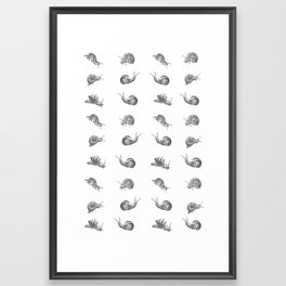 Snail Pattern Framed Art Print