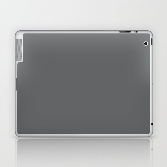 Gray Boulder Laptop & iPad Skin