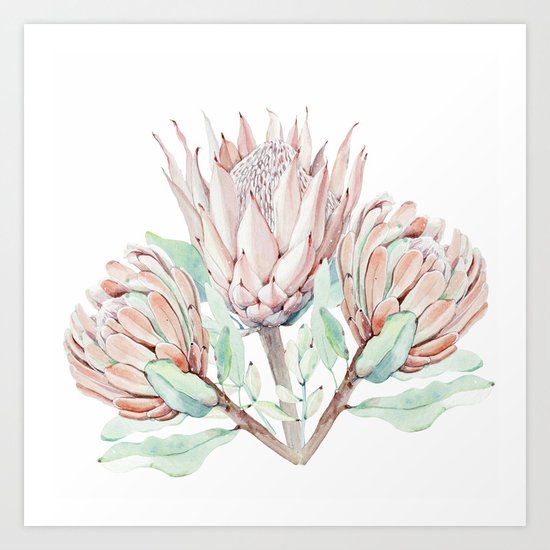Protea #society6 #buyart Art Print