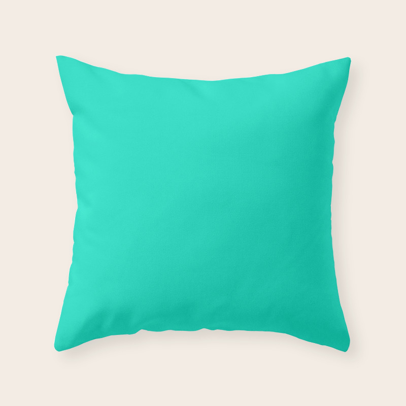 Solid Color Seafoam Green Throw Pillow By Shabbyhappydesigns