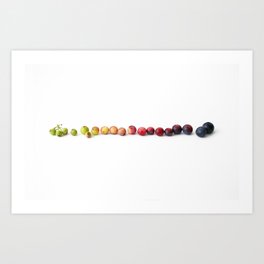 Blueberry Gradient (Horizontal) Art Print