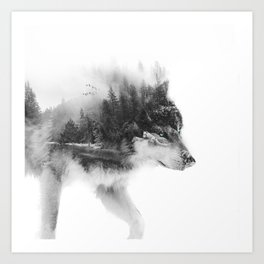 Wolf Stalking Art Print