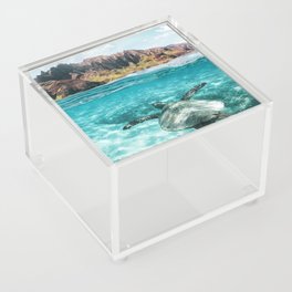 Sea Turtle Acrylic Box