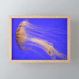 Jellyfish Framed Mini Art Print