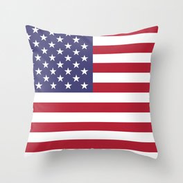 American Flag Scale G-spec 10:19 Throw Pillow