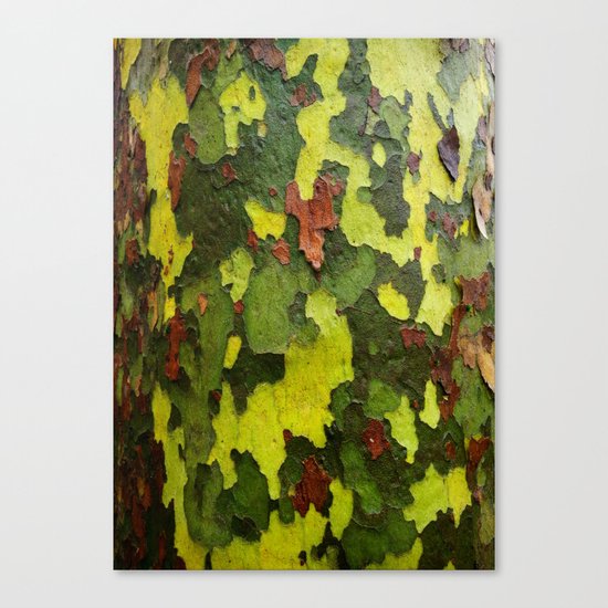 Real Camouflage Canvas Print