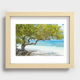 Paradise Beneath The Divi Tree - Aruba Recessed Framed Print