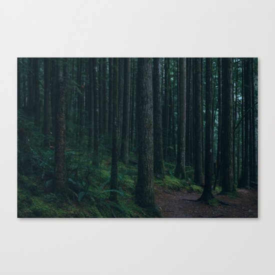 Forest mood Canvas Print