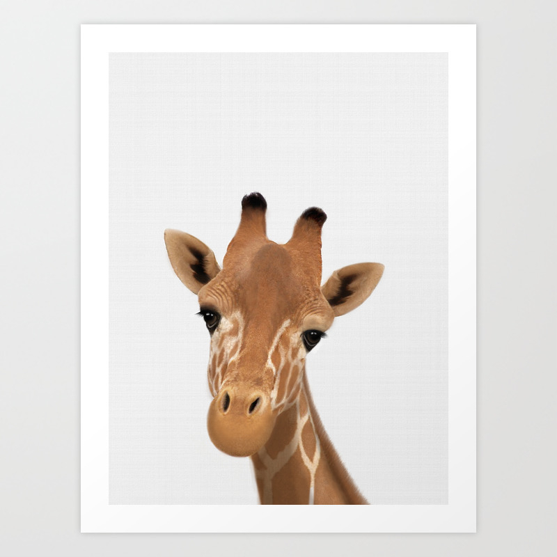 Safari Nursery Art Giraffe Print Safari Animals Wall Art Baby Giraffe Art Print By Nikiandneo Society6