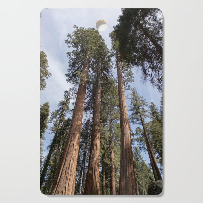 Towering Sequoias - Sequoia Park, California Cutting Board