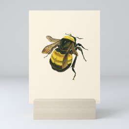 Vintage Scientific Bee Mini Art Print