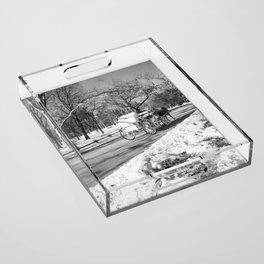 Central Park Black and White Photography Acrylic Tray