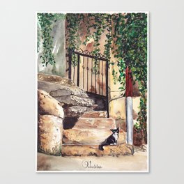Odessa. Cat in the yard. Ukraine.  Canvas Print