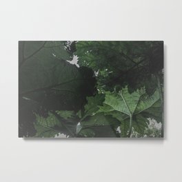 Giant Green Plants - Nature Photography Metal Print