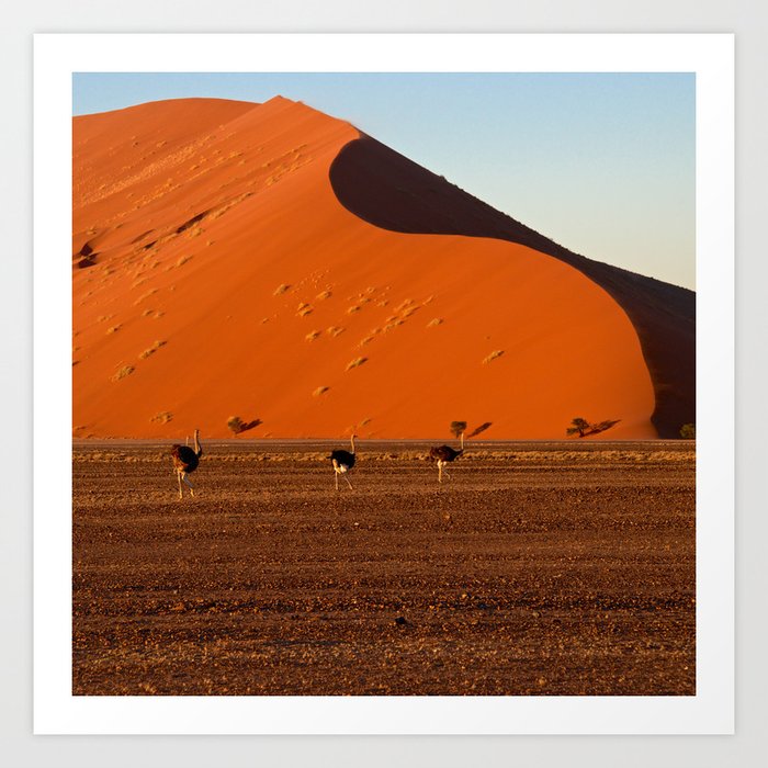 The Red Sand Dunes In Namibia Wood Print
