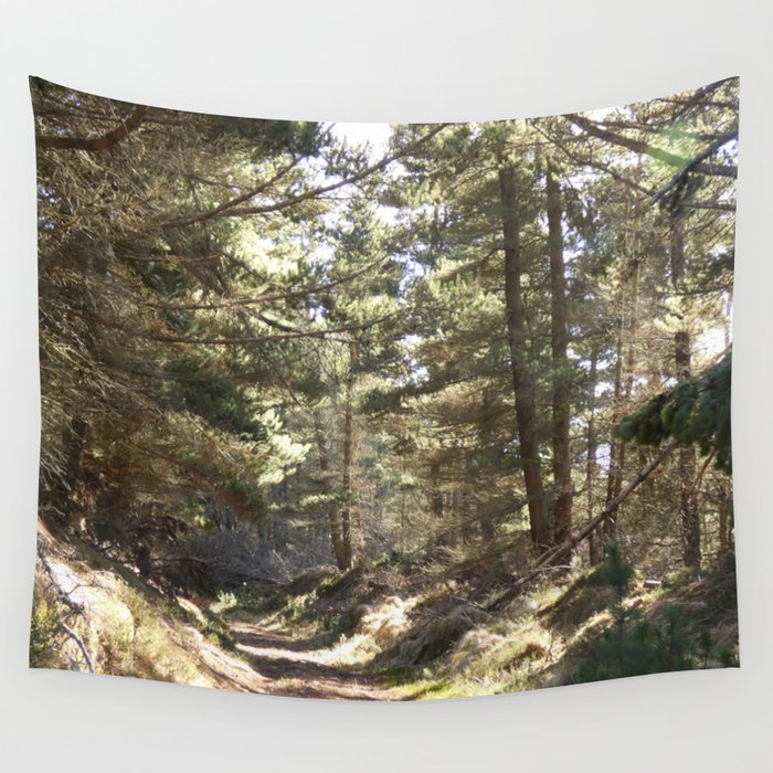 Scottish Highlands Sun Kissed Nature Path Wall Tapestry