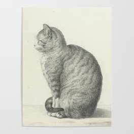Vintage Cat Illustration, 1815 Poster