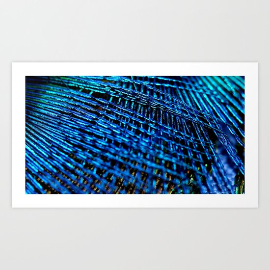 Macro feather Art Print