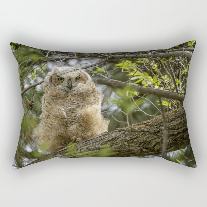 Rectangular Pillow