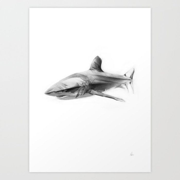Shark I Art Print