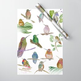 Hummingbird beauties Wrapping Paper