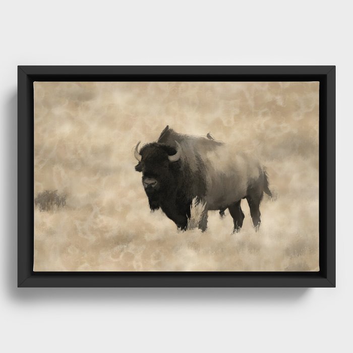 Framed Canvas