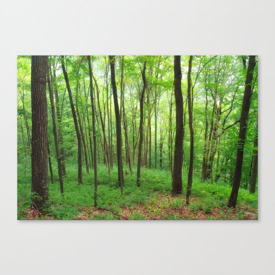 Forest 3 Canvas Print