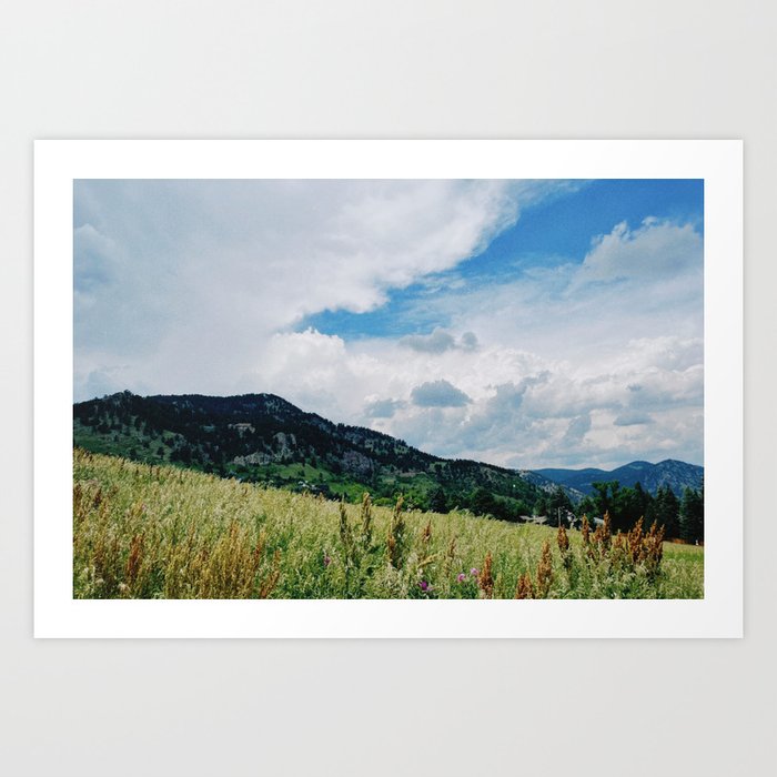 Field | Colorado | Upstate Photography  Art Print