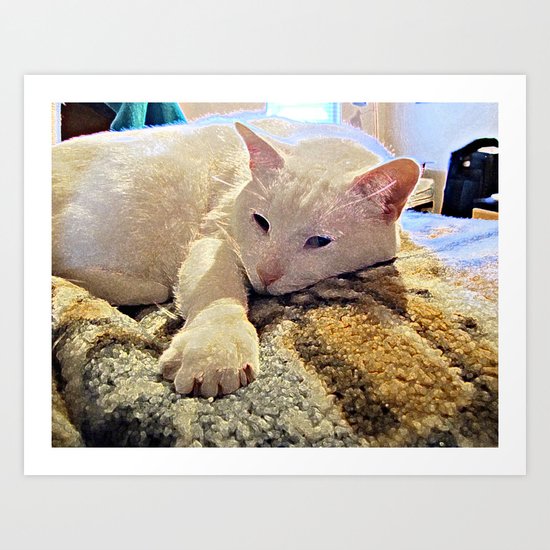 Cat Art Print