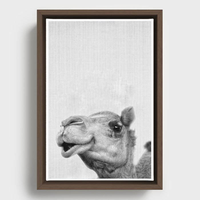 Camel Headshot Framed Canvas