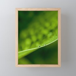 2 drops Framed Mini Art Print