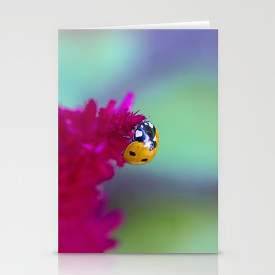 Color Me Beautiful Stationery Cards