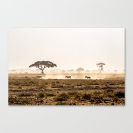 Zebra in Amboseli Dust Canvas Print
