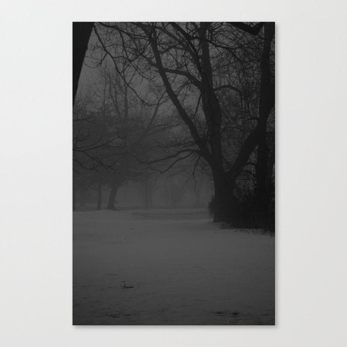 In the Fog Canvas Print