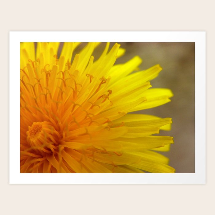Dandelion Kisses Art Print by Porcupine Slug | Society6
