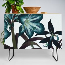 amaryllis flower dark teal Credenza