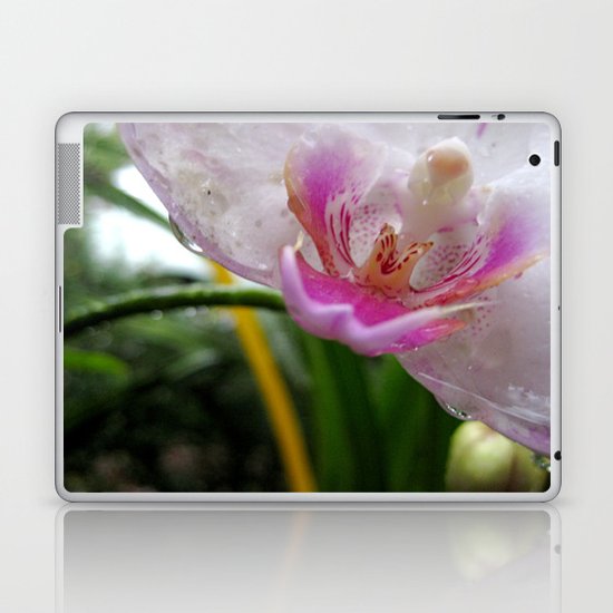 Orchid Mornings Laptop & iPad Skin