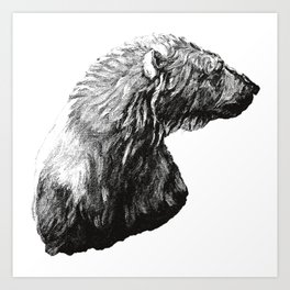 Scruffy Polar Baer Art Print