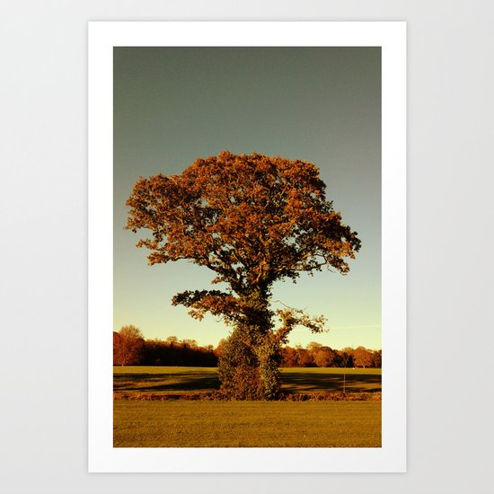 Tree- Malahide Park Art Print