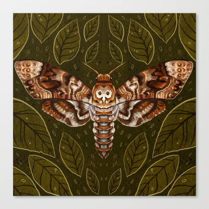 Canvas Print