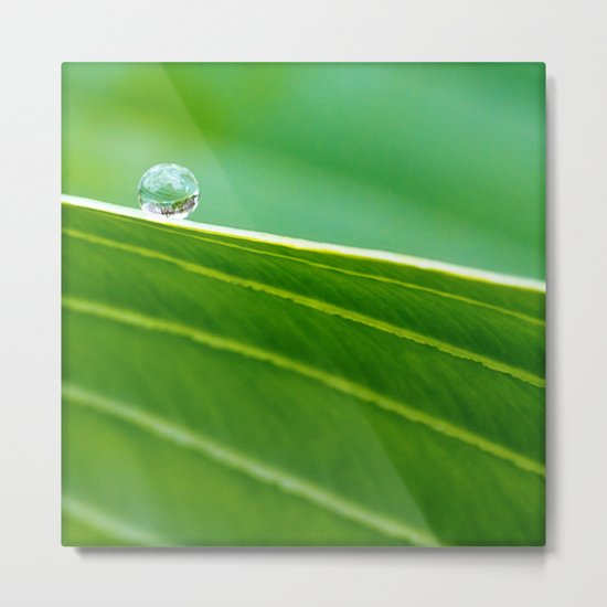 roll down Metal Print