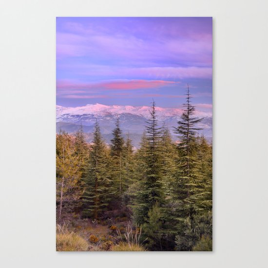 "At the mountains" Canvas Print