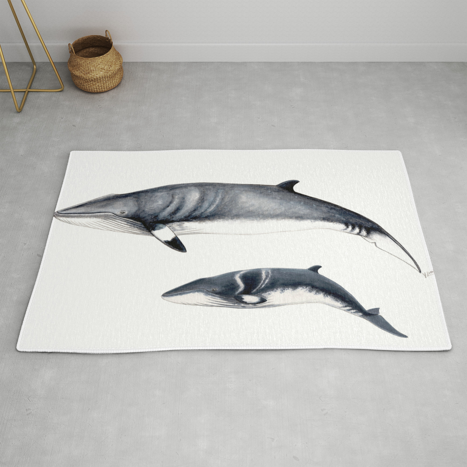 Minke Whale With Baby Whale Rug By Chloeyzoard Society6