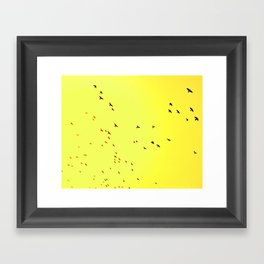 Birds in flight, Delhi. Framed Art Print