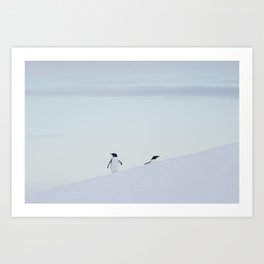 Gentoo Twin Penguins, Antarctica Art Print