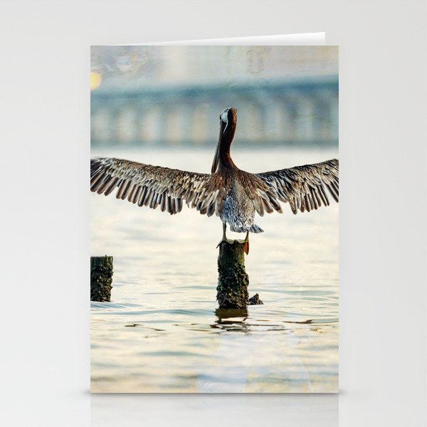 Pelican Reach Stationery Cards
