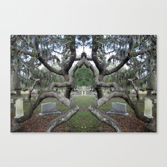The Skull Canvas Print